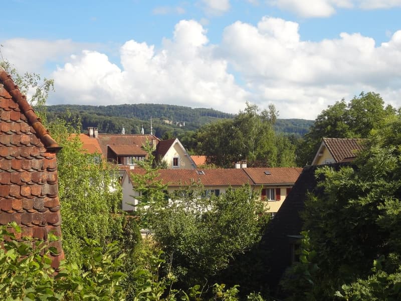 82227.01.0006.03_Aussicht.JPG