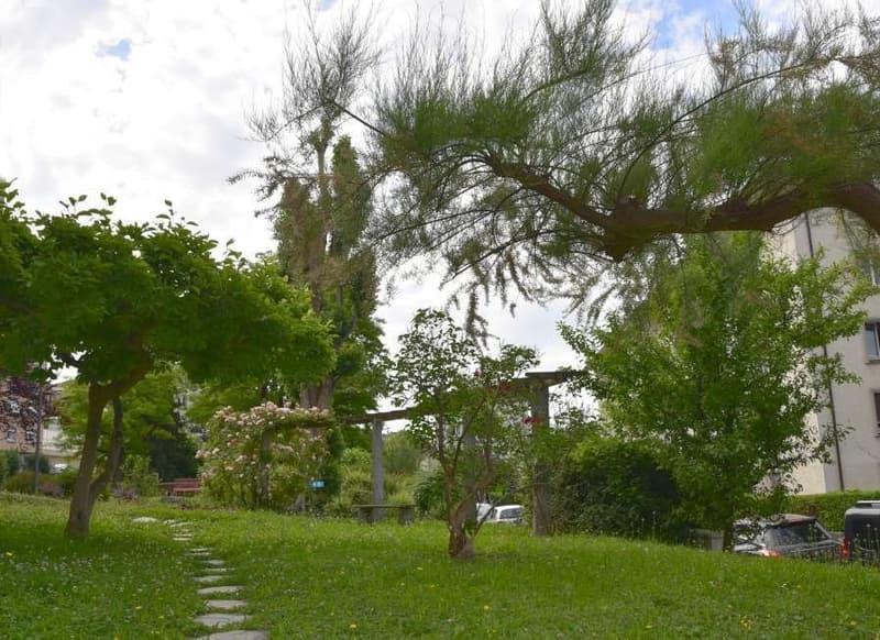 Environs