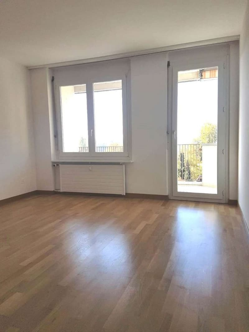 Situato centralmente e a pochi minuti a piedi dal lago (7)