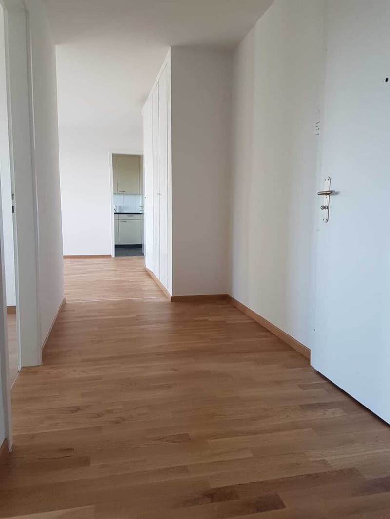 Situato centralmente e a pochi minuti a piedi dal lago (6)