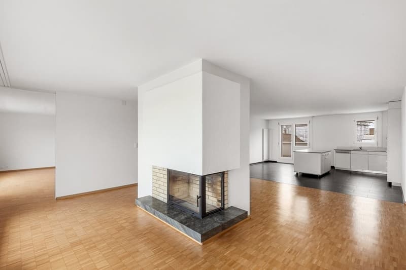 Appartement en attique spacieux (8)