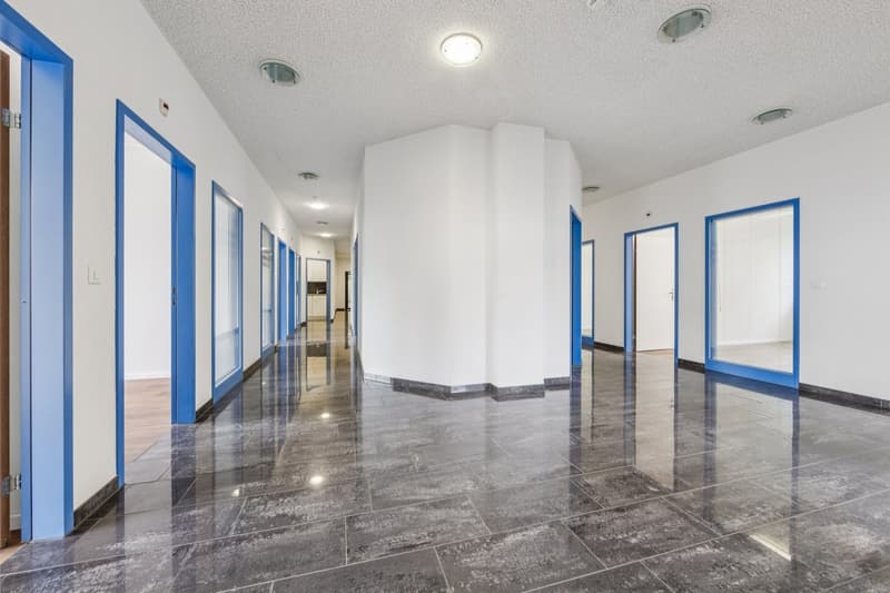 Einziehen statt ausbauen: Bürofläche zwischen Zürich & Basel (12)