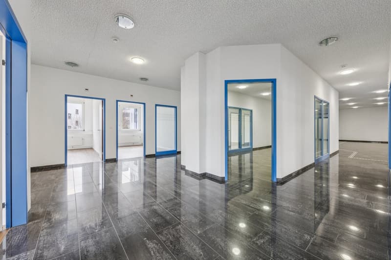 Einziehen statt ausbauen: Bürofläche zwischen Zürich & Basel (8)