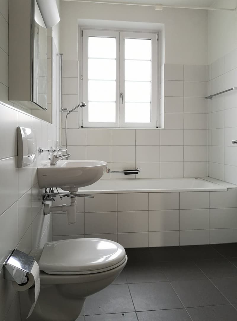 Schöne Altbauwohnung in der Lorraine (8)