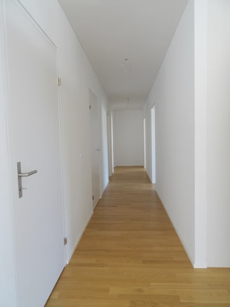 Habitation moderne dans un emplacement central (7)