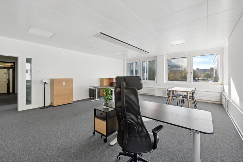 Flexible, versatile, available immediately (4)