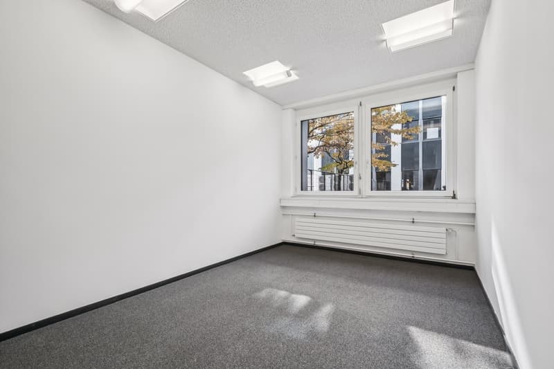 Your new commercial space in an excellent location (8)