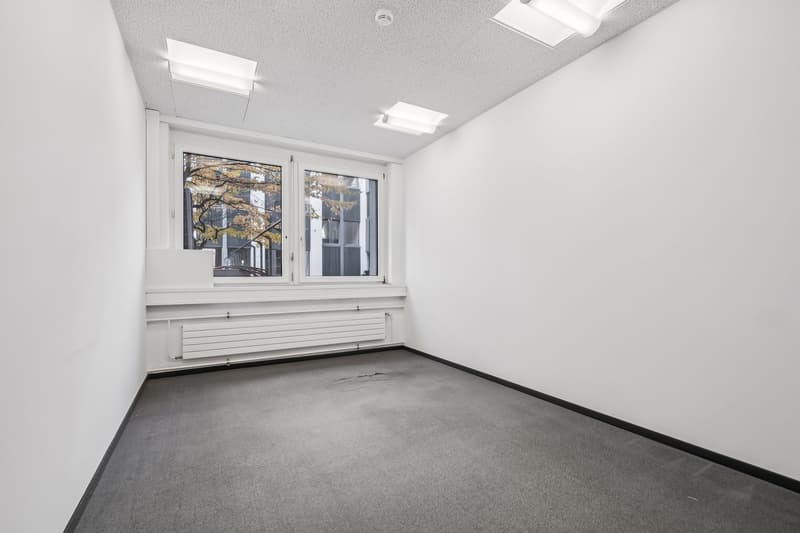 Your new commercial space in an excellent location (5)