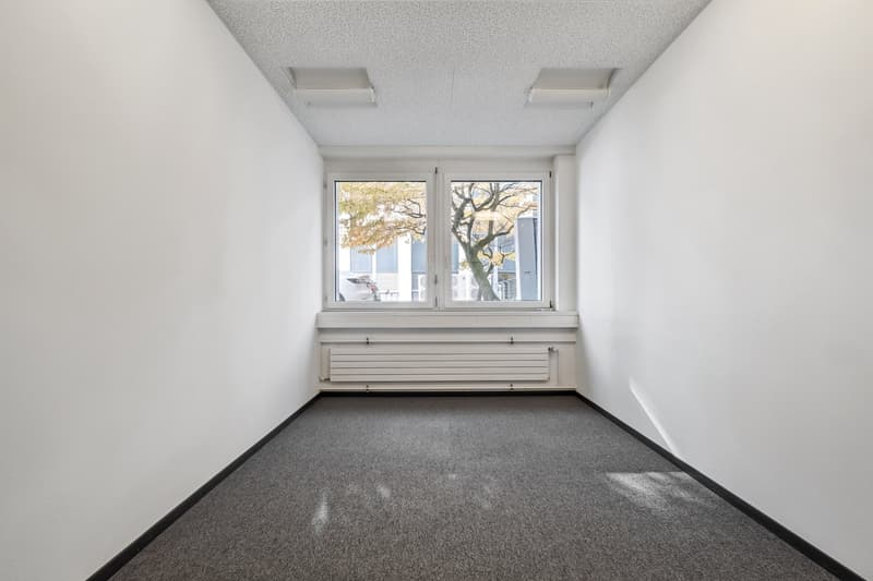 Your new commercial space in an excellent location (3)