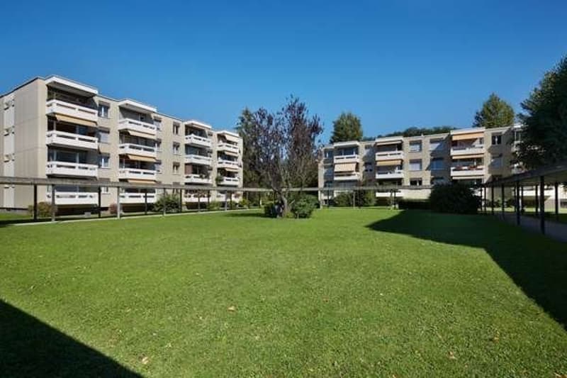 Spacious and bright apartment in Therwil (1)