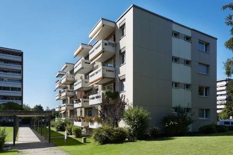 Spacious and bright apartment in Therwil (2)