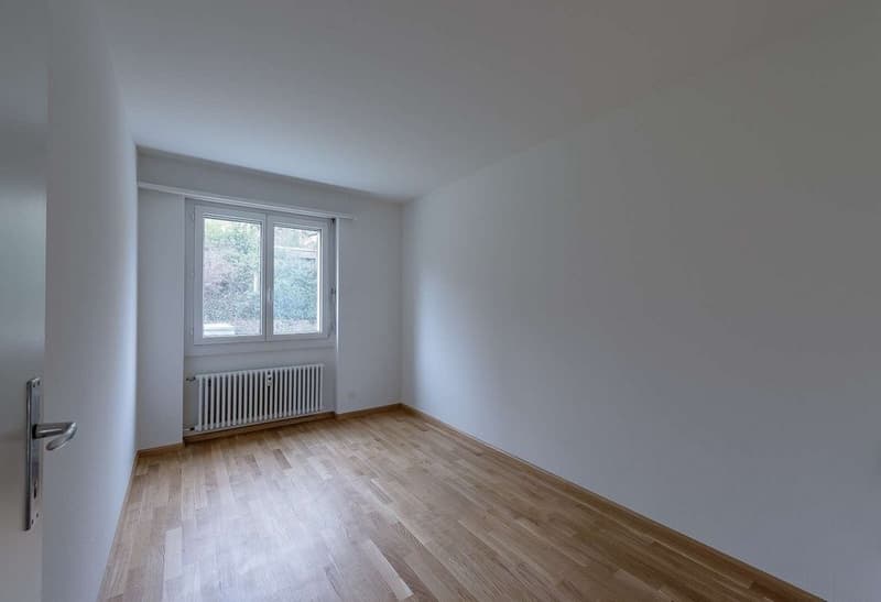 Spacious and bright apartment in Therwil (4)