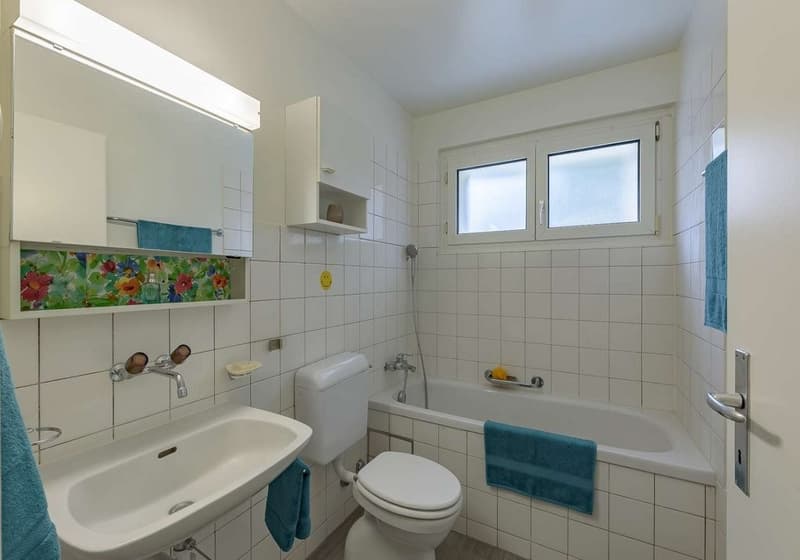 Spacious and bright apartment in Therwil (5)