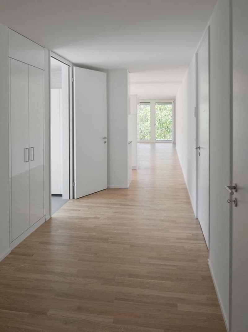 Votre nouveau domicile directement sur la Limmat ! (3)