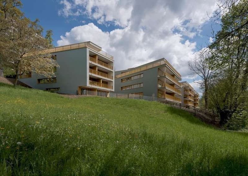 Votre nouveau domicile directement sur la Limmat ! (2)