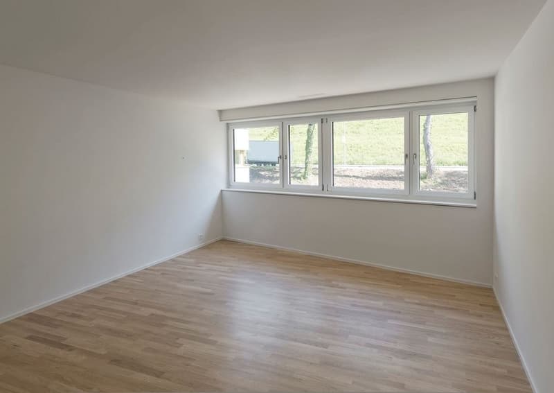 Votre nouveau domicile directement sur la Limmat ! (6)