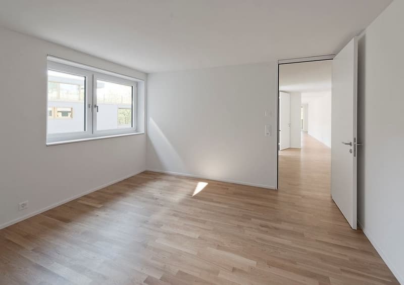 Votre nouveau domicile directement sur la Limmat ! (7)
