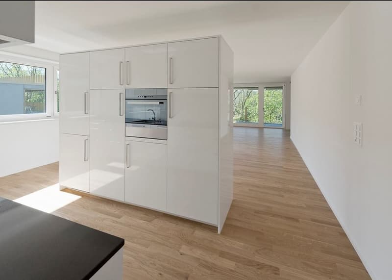 Votre nouveau domicile directement sur la Limmat ! (4)