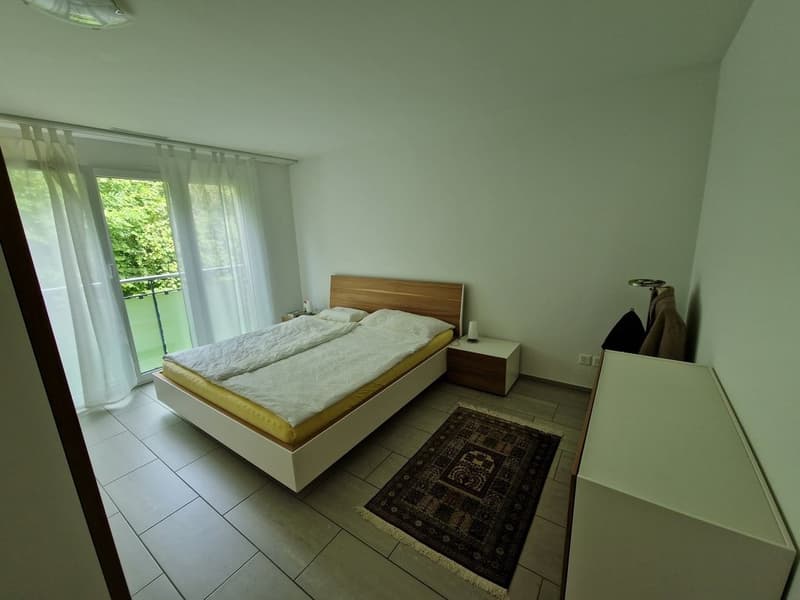 Spacious 4.5-room apartment for rent from 1.04.26 (5)