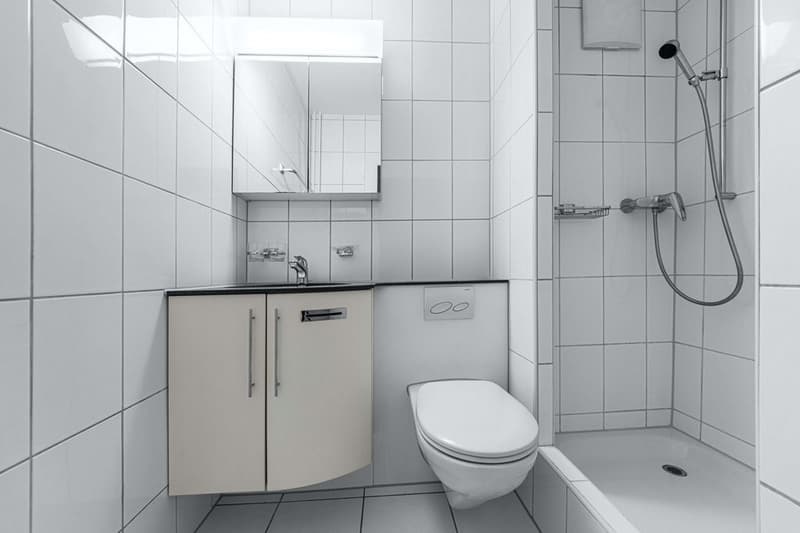 Comfortable living near Schützenmattpark (5)