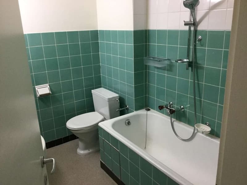 Appartement confortable et spacieux recherche un nouveau locataire! (4)