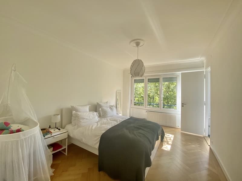 Splendida sistemazione nel prestigioso quartiere di Champel (4)