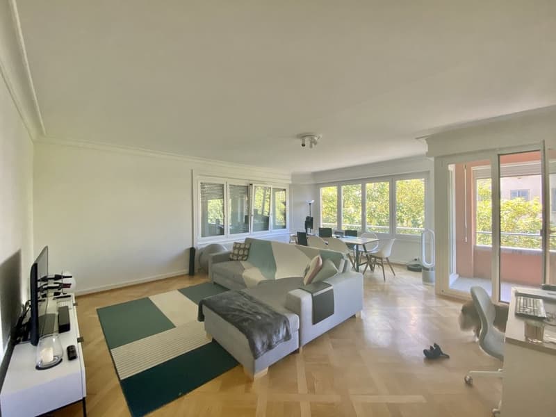 Splendida sistemazione nel prestigioso quartiere di Champel (3)