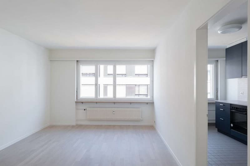 Comfortable living near SBB train station (2)