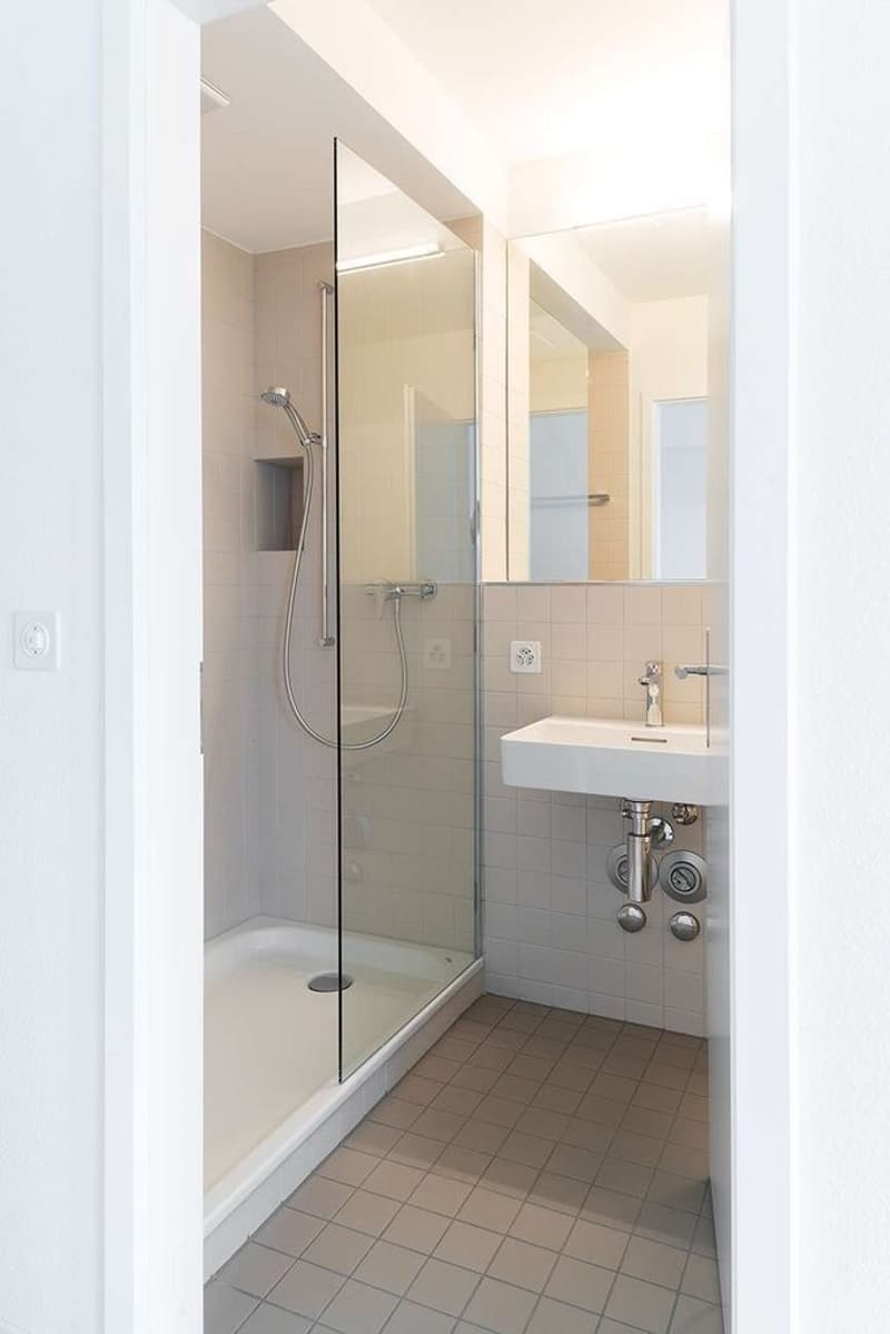 Comfortable living near SBB train station (5)