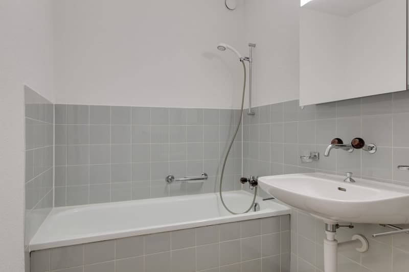 Living in a quiet location in Adliswil - limited until 30.09.2027 (6)