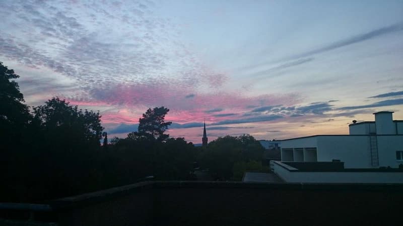 Ausblick