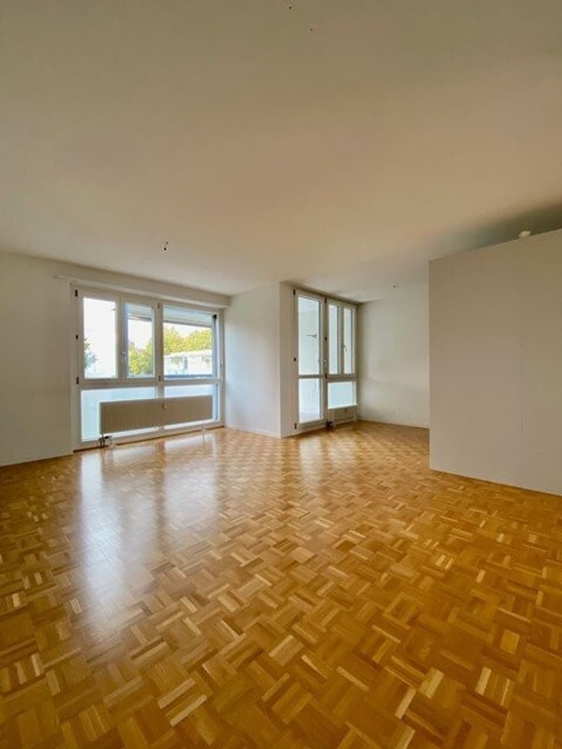 Appartement lumineux et moderne idéal pour les couples (4)