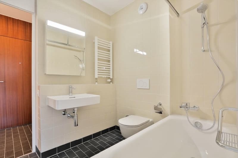 Salle de bains / wc