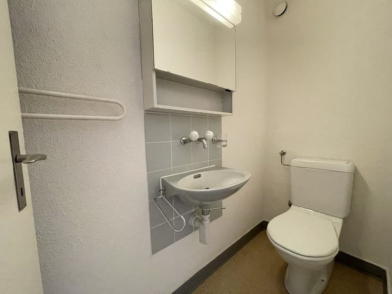 Vivere in una zona tranquilla ad Adliswil - limitato fino al 30.09.2027 (9)