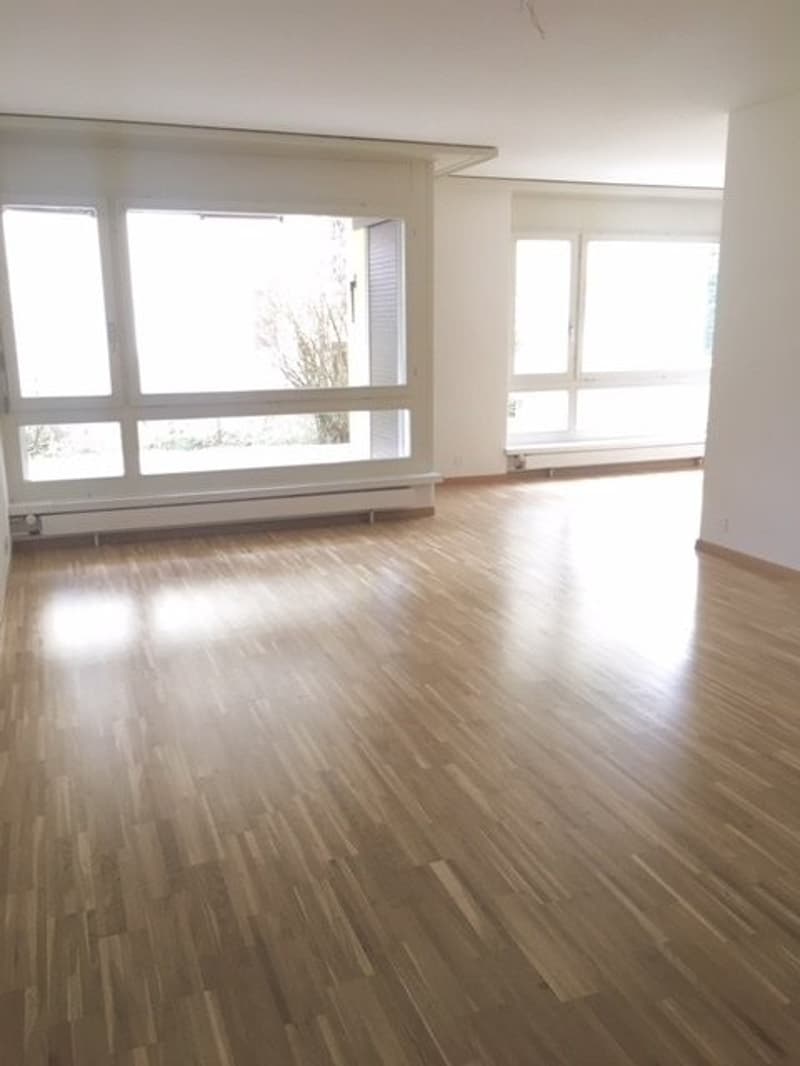 Bello appartamento 3.5 locali con balcone (2)