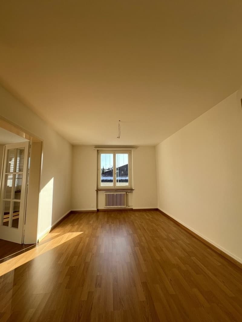 Zimmer_1.png