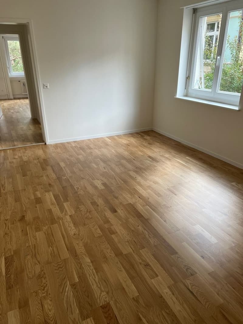 Zimmer_1.png