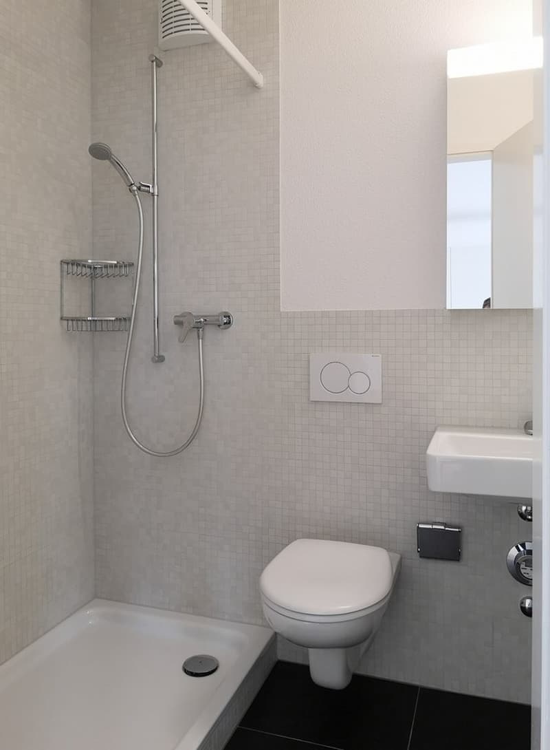 Appartement idéal pour célibataire en ville ! (5)