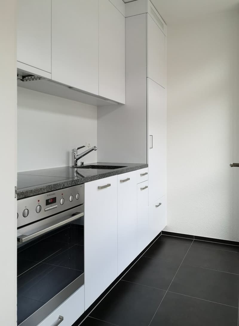Appartement idéal pour célibataire en ville ! (2)
