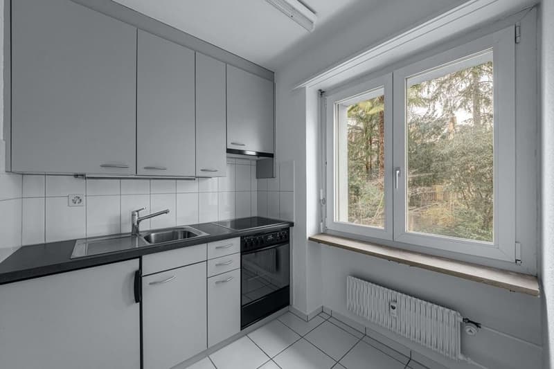Komfortables Wohnen Nähe Schützenmattpark (4)