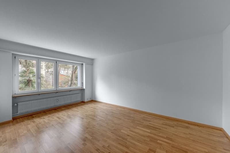Komfortables Wohnen Nähe Schützenmattpark (2)