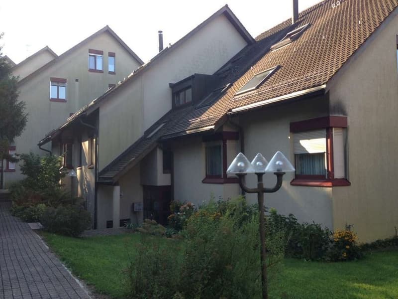 In a beautiful location in Zurich 'Witikon' (2)