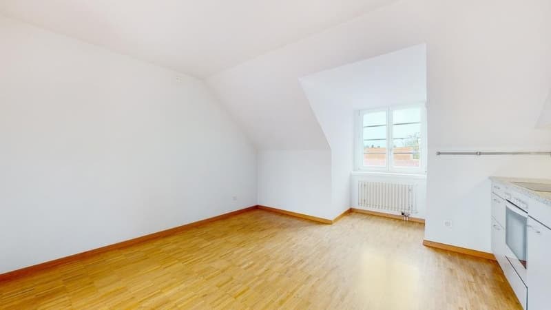 Helle, moderne 2.5-Zimmer-Dachwohnung (4)