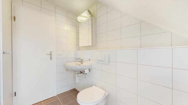 Helle, moderne 2.5-Zimmer-Dachwohnung (8)