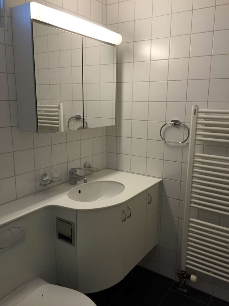 Charming 2.5 room ground floor apartment with terrace (3)