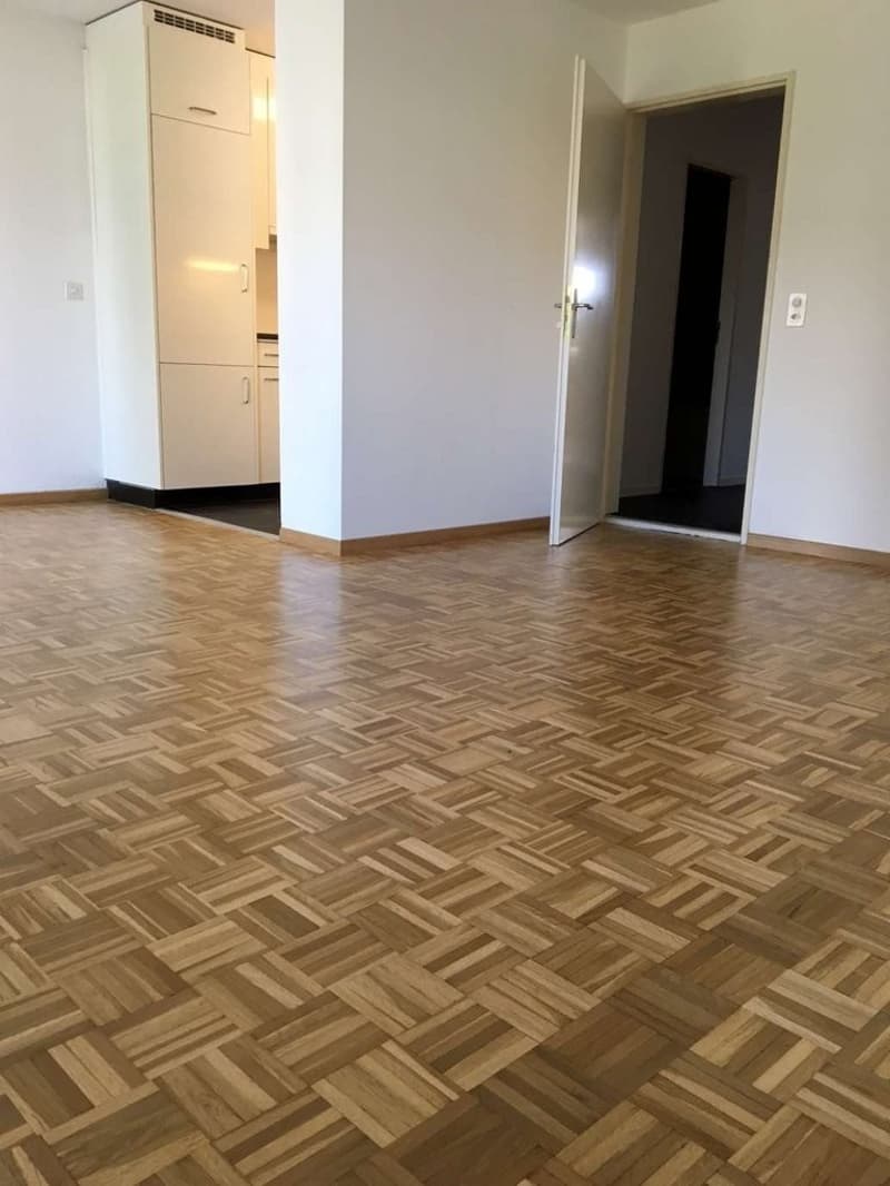 Charming 2.5 room ground floor apartment with terrace (4)