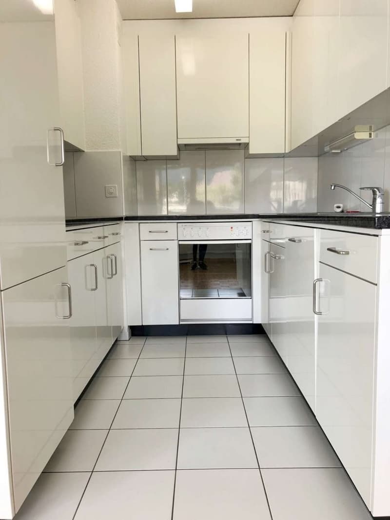 Charming 2.5 room ground floor apartment with terrace (2)