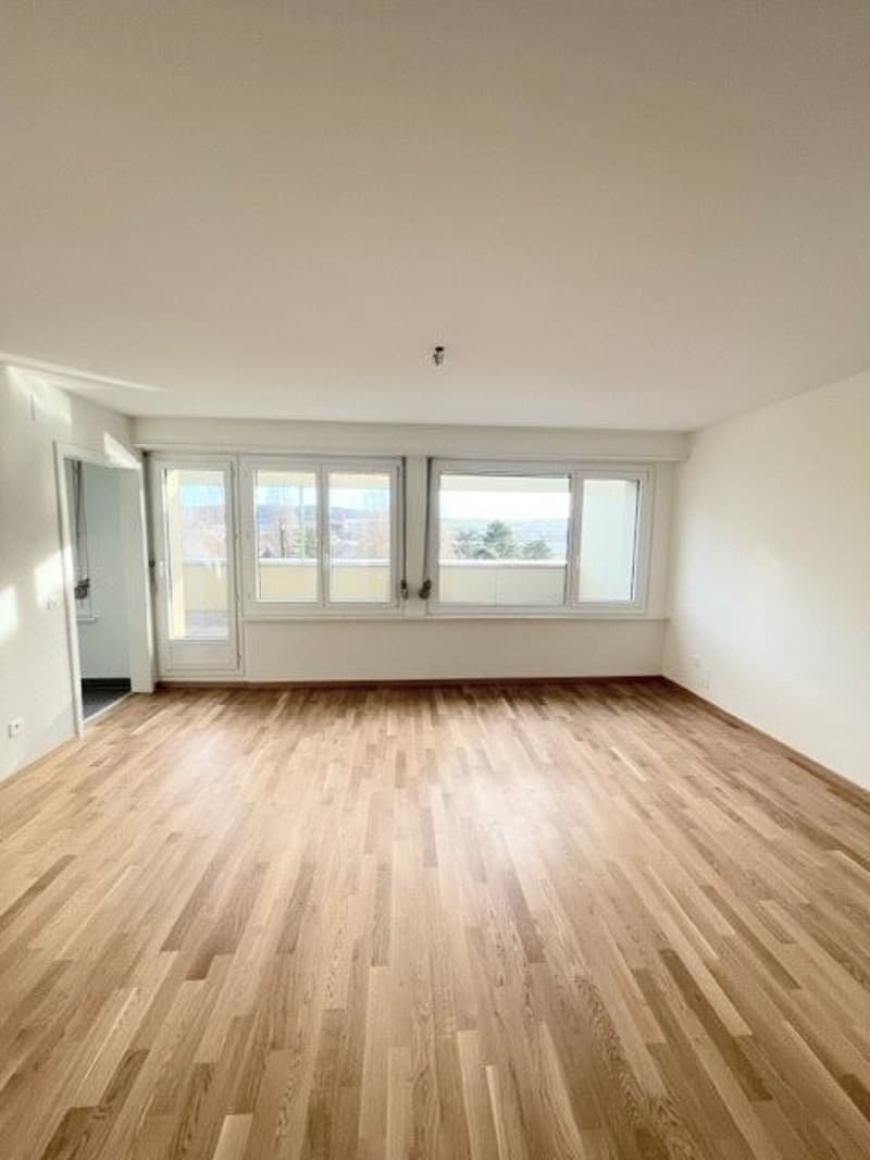 Zimmer_1.png