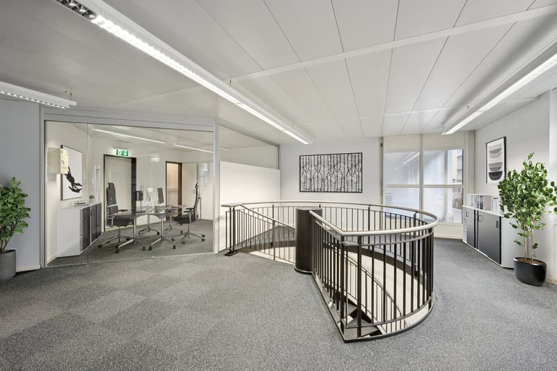 Espace commercial représentatif - à quelques pas de Messe Basel (5)