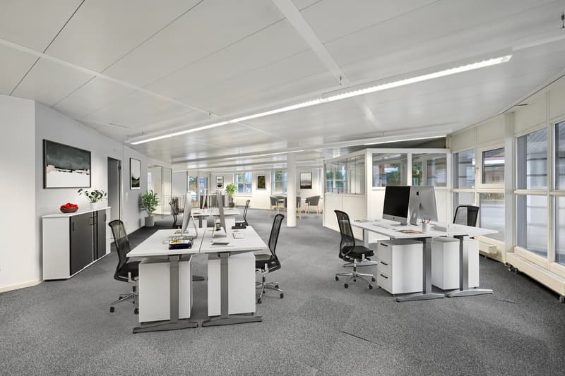 Espace commercial représentatif - à quelques pas de Messe Basel (2)
